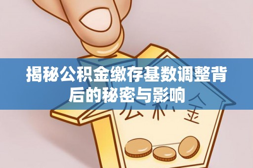 卫辉揭秘公积金缴存基数调整背后的秘密与影响