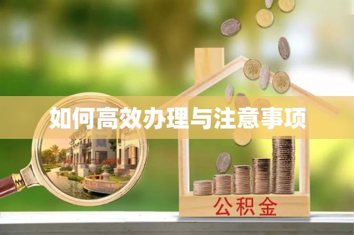 卫辉如何高效办理与注意事项