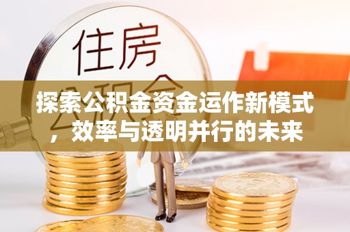 卫辉探索公积金资金运作新模式，效率与透明并行的未来