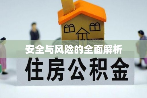 卫辉安全与风险的全面解析