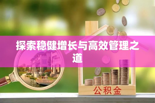卫辉探索稳健增长与高效管理之道