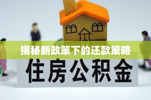 卫辉揭秘新政策下的还款策略