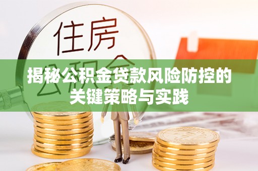 卫辉揭秘公积金贷款风险防控的关键策略与实践