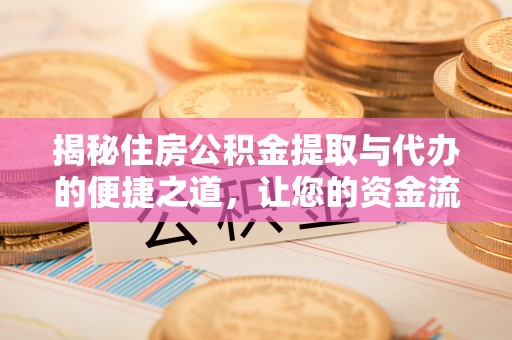 卫辉揭秘住房公积金提取与代办的便捷之道，让您的资金流动更高效