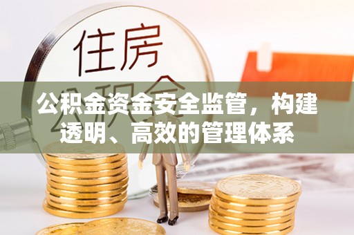 卫辉公积金资金安全监管，构建透明、高效的管理体系