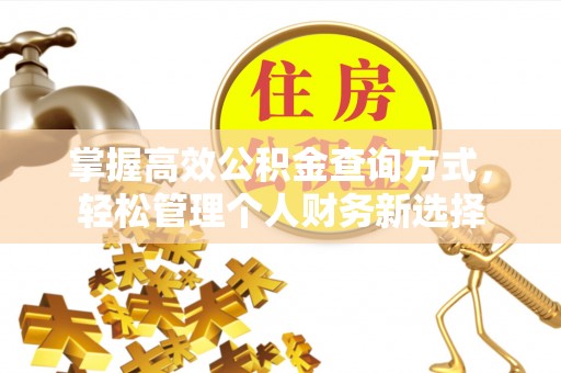 卫辉掌握高效公积金查询方式，轻松管理个人财务新选择