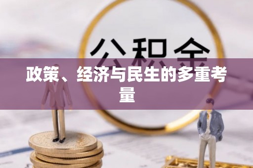 卫辉政策、经济与民生的多重考量