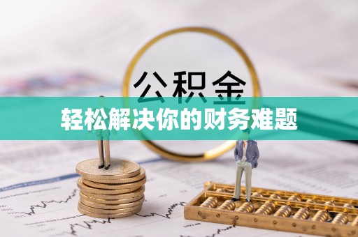 卫辉轻松解决你的财务难题