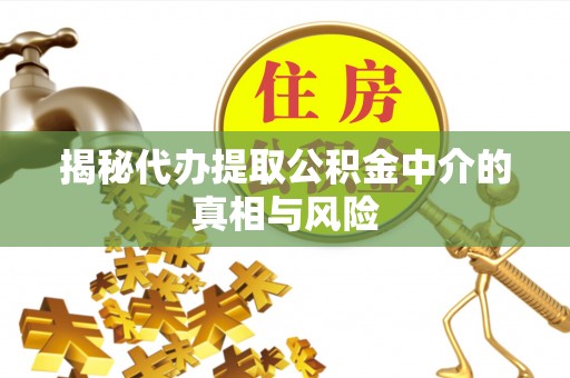 卫辉揭秘代办提取公积金中介的真相与风险