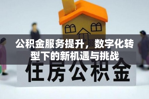 卫辉公积金服务提升，数字化转型下的新机遇与挑战