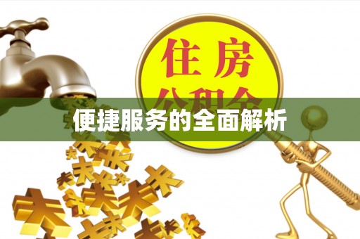 卫辉便捷服务的全面解析