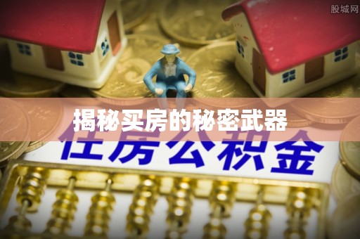 卫辉揭秘买房的秘密武器