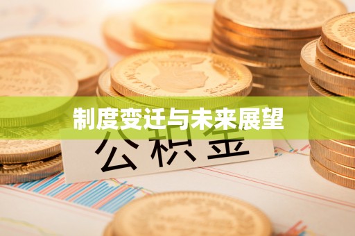 卫辉制度变迁与未来展望