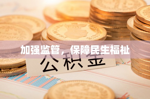 卫辉加强监管，保障民生福祉