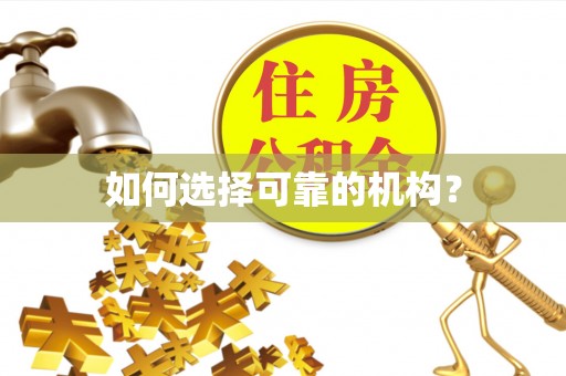 卫辉如何选择可靠的机构？