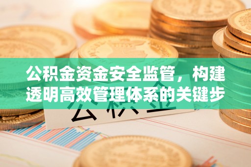 卫辉公积金资金安全监管，构建透明高效管理体系的关键步骤