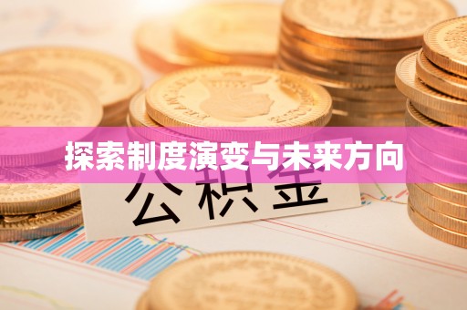 卫辉探索制度演变与未来方向