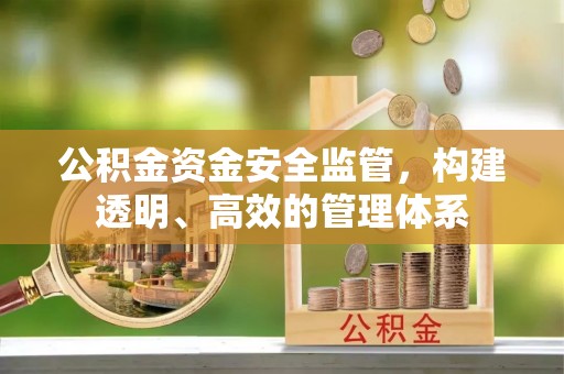 卫辉公积金资金安全监管，构建透明、高效的管理体系