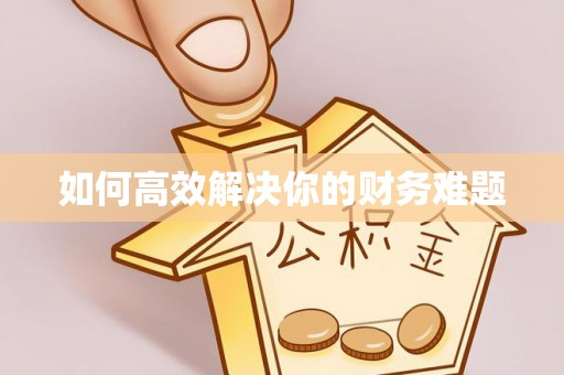 卫辉如何高效解决你的财务难题