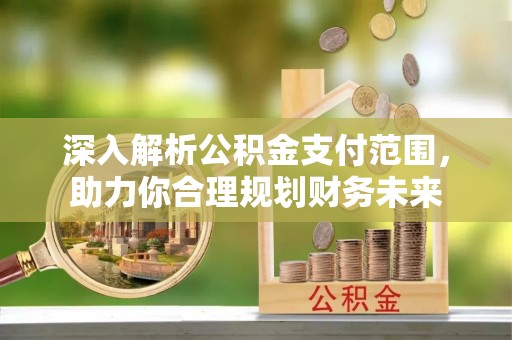 卫辉深入解析公积金支付范围，助力你合理规划财务未来
