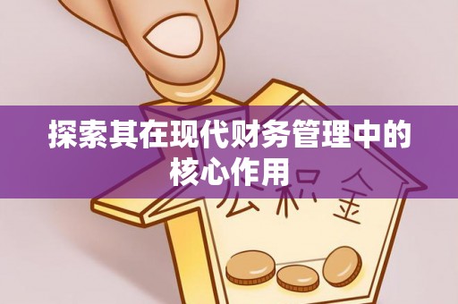 卫辉探索其在现代财务管理中的核心作用