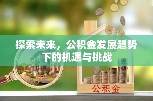 卫辉探索未来，公积金发展趋势下的机遇与挑战