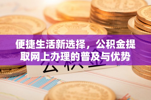 卫辉便捷生活新选择，公积金提取网上办理的普及与优势