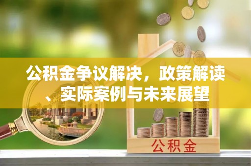 卫辉公积金争议解决，政策解读、实际案例与未来展望