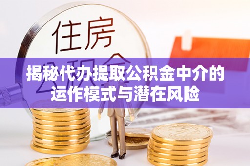 卫辉揭秘代办提取公积金中介的运作模式与潜在风险