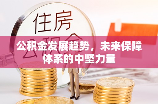 卫辉公积金发展趋势，未来保障体系的中坚力量