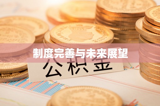 卫辉制度完善与未来展望