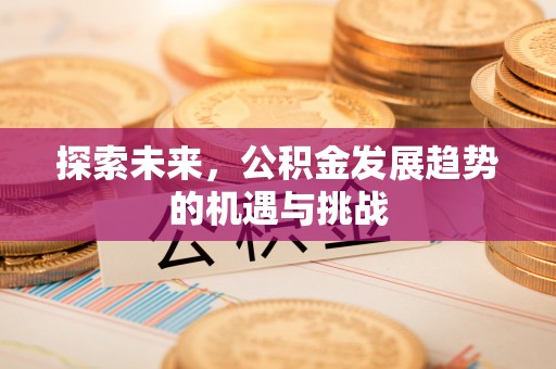 卫辉探索未来，公积金发展趋势的机遇与挑战