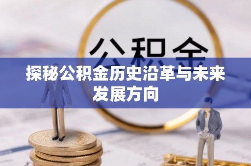 卫辉探秘公积金历史沿革与未来发展方向