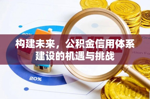 卫辉构建未来，公积金信用体系建设的机遇与挑战
