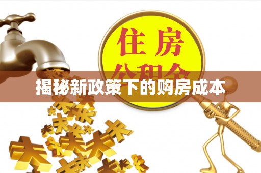 卫辉揭秘新政策下的购房成本