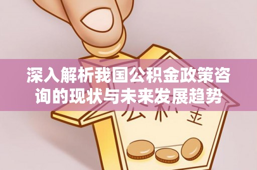 卫辉深入解析我国公积金政策咨询的现状与未来发展趋势