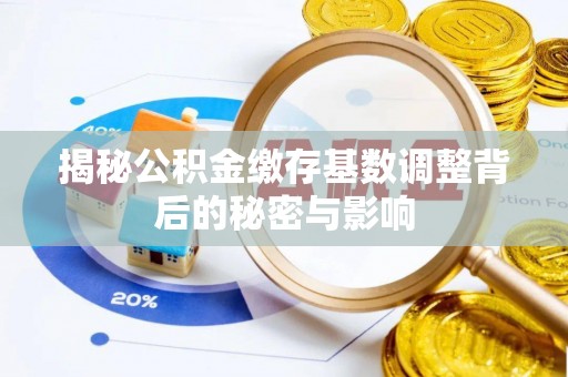 卫辉揭秘公积金缴存基数调整背后的秘密与影响