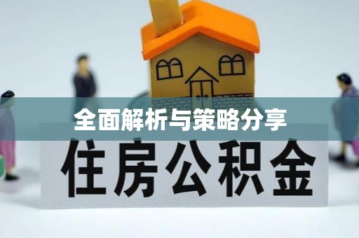 卫辉全面解析与策略分享