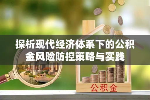 卫辉探析现代经济体系下的公积金风险防控策略与实践