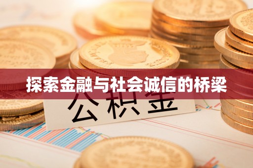 卫辉探索金融与社会诚信的桥梁