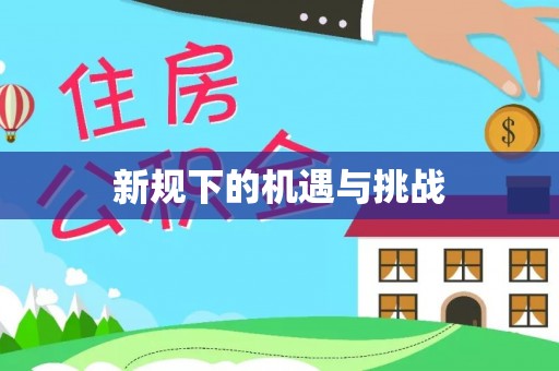 卫辉新规下的机遇与挑战