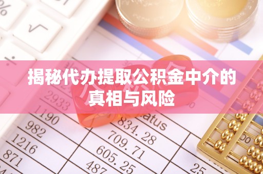 卫辉揭秘代办提取公积金中介的真相与风险