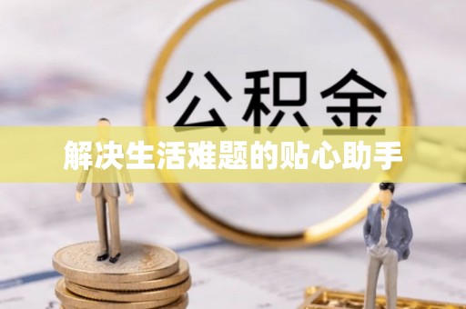 卫辉解决生活难题的贴心助手