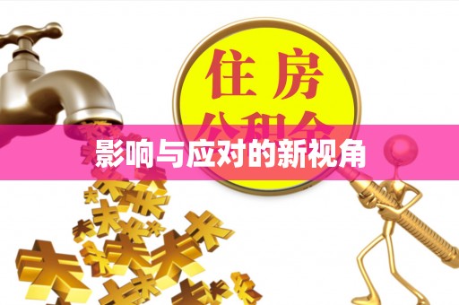 卫辉影响与应对的新视角