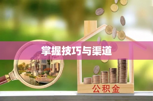卫辉掌握技巧与渠道