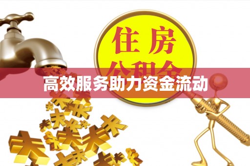 卫辉高效服务助力资金流动