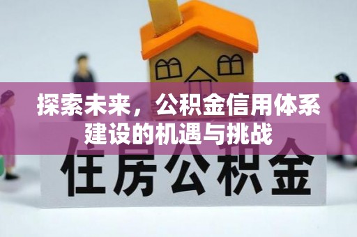 卫辉探索未来，公积金信用体系建设的机遇与挑战
