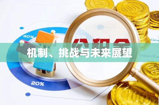 卫辉机制、挑战与未来展望