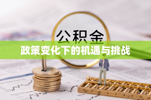 卫辉政策变化下的机遇与挑战