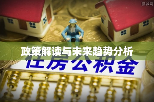 卫辉政策解读与未来趋势分析
